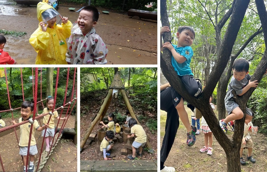노리안 상도원 숲놀이 자연생태 프로젝트 활동